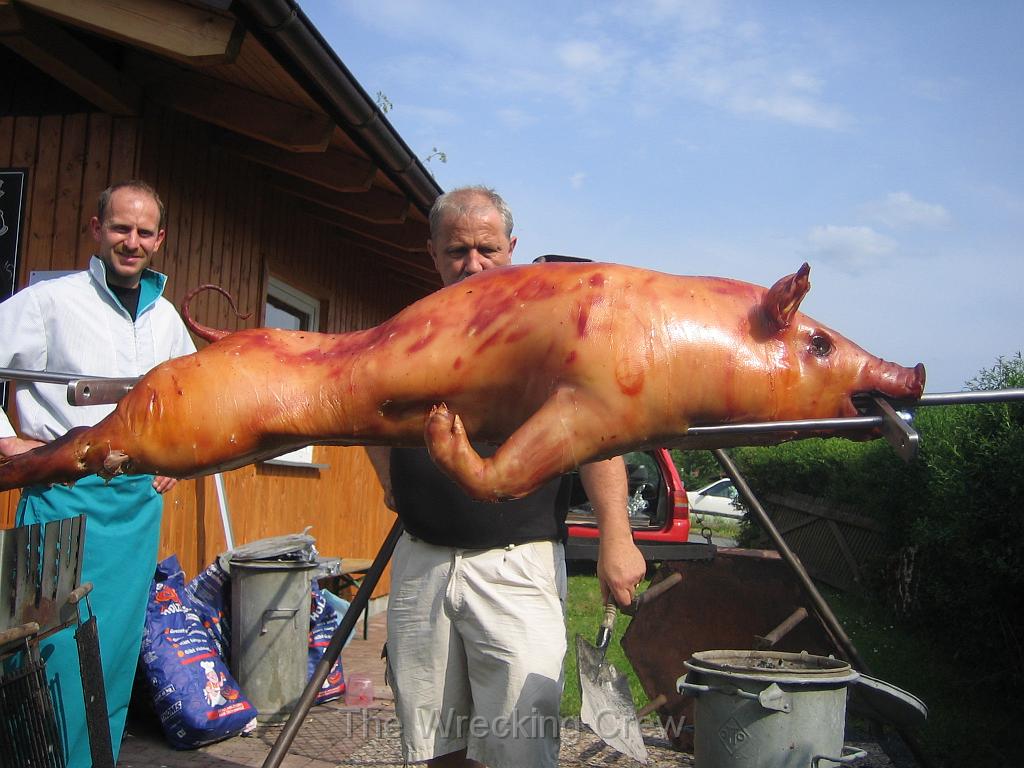 Schluter 083 (6).JPG